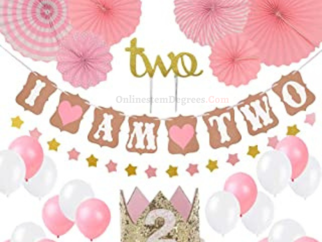 Baby Girl Second Birthday Party Decorations